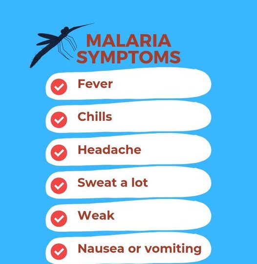 World Malaria Day